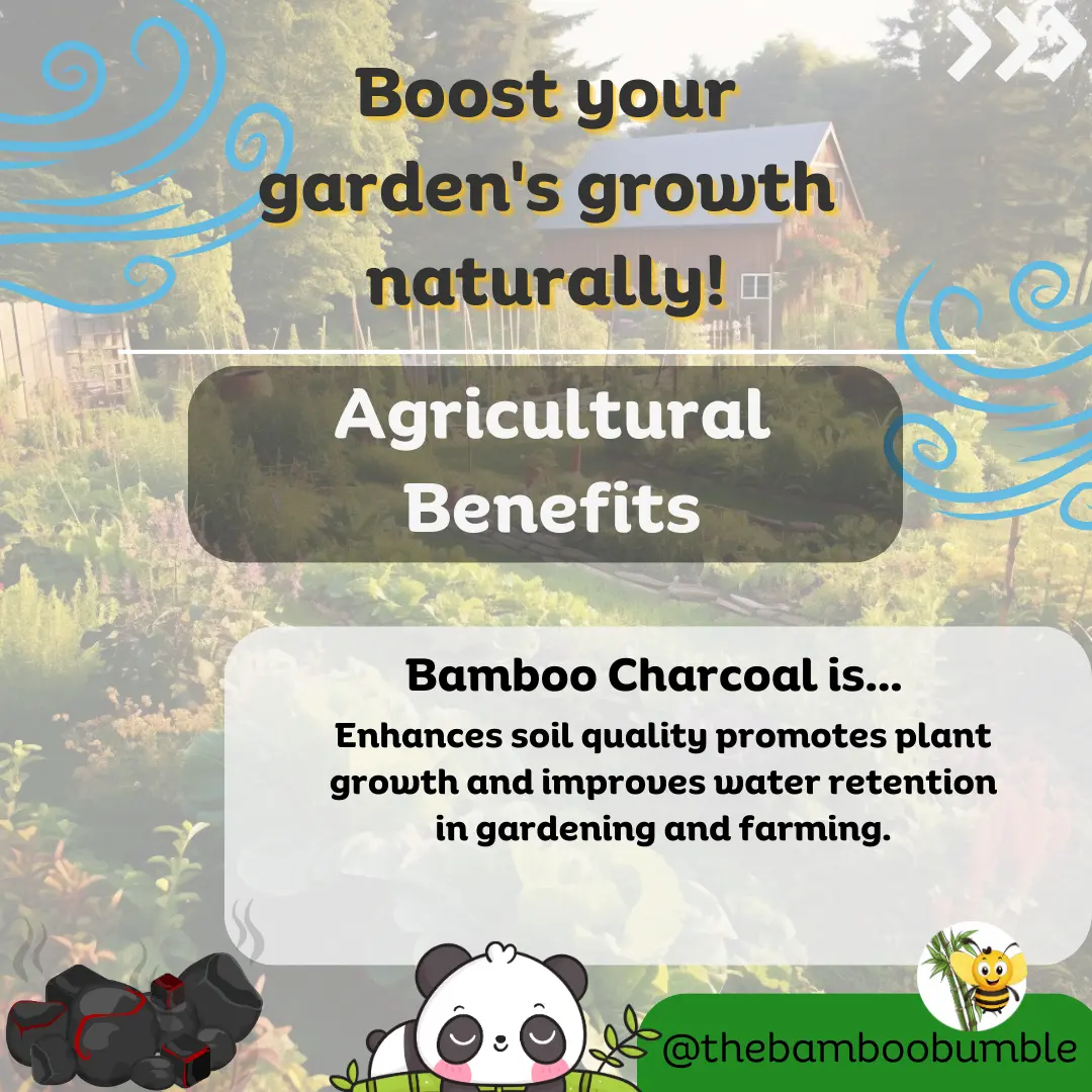 8 top benefits for bamboo charcoal - agricultural benefits