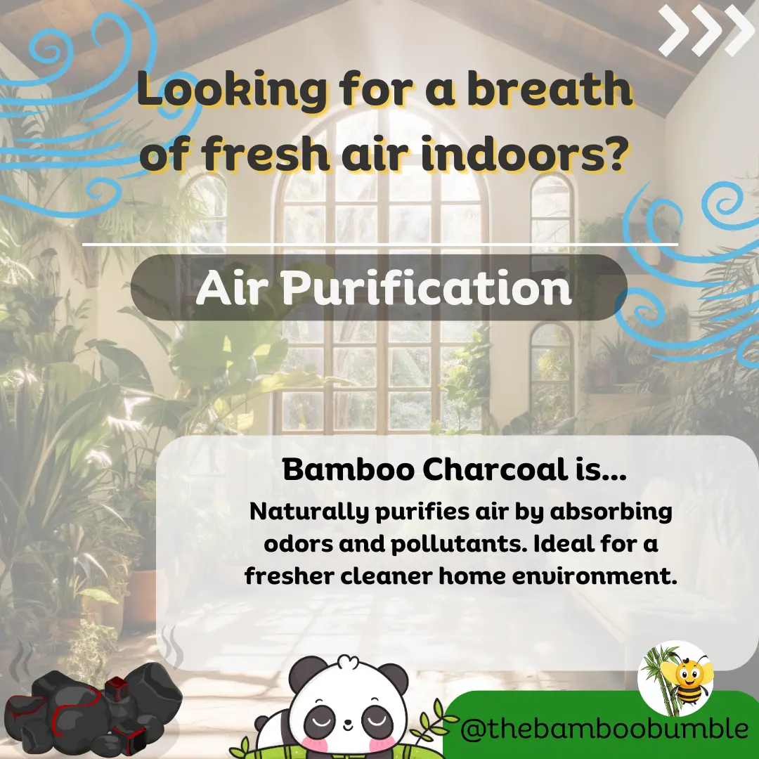 8 top benefits for bamboo charcoal - air purification