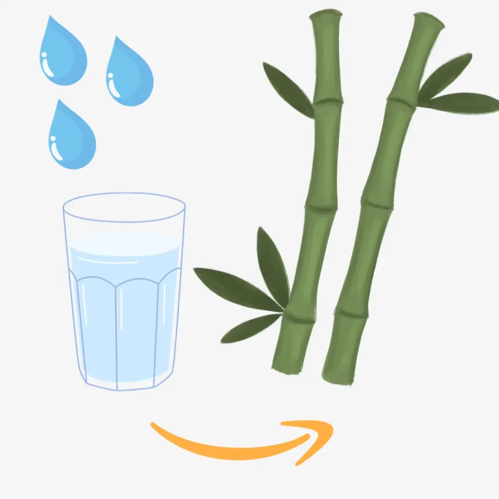 amazon water glass and bamboo
