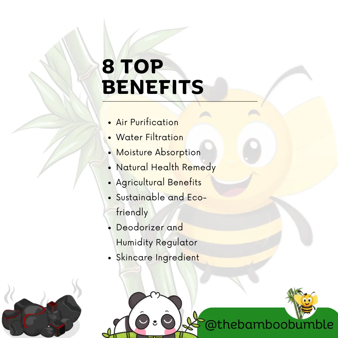 8 top benefits for bamboo charcoal - summary