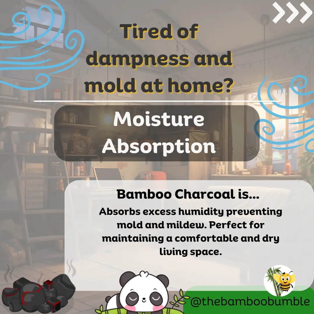 8 top benefits for bamboo charcoal - moisture absorption