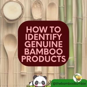 Featured Image - How to Identify Genuine Bamboo Products post