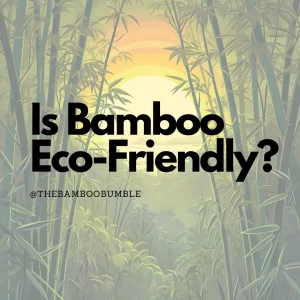 Featured image - is bamboo eco-friendly?