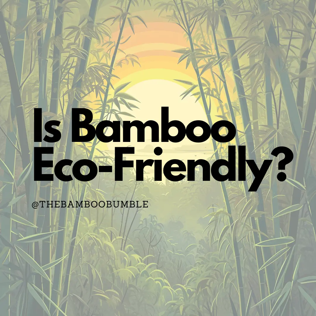 Is Bamboo Sustainable? All You Need to Know About Eco-Friendly Bamboo —  Sustainable Review