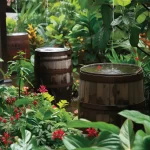 featured image - rain barrels lined up under a dripping roof line with flowers